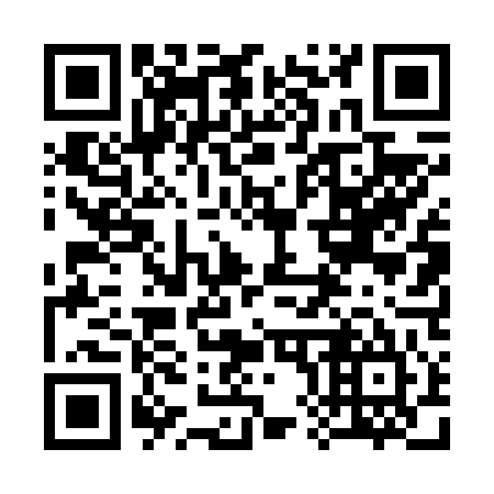 QR code for 384645