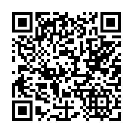QR code for 384647