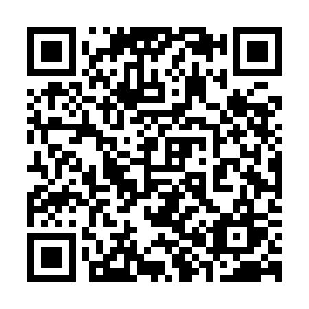 QR code for plate 384-ICW