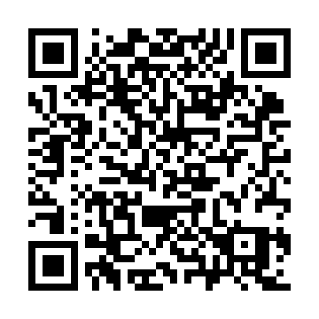 QR code for plate 384-KBQ