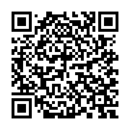 QR code for 384ONN