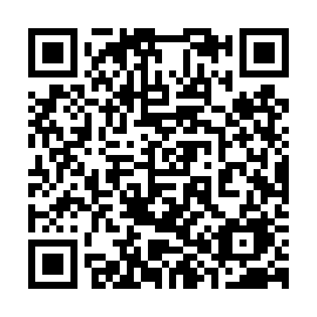 QR code for plate 384-TRE