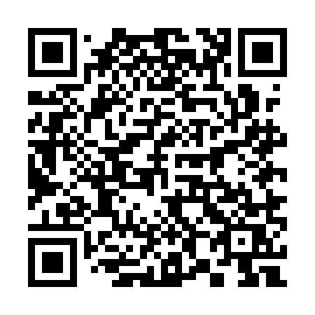 QR code for 385-AMS