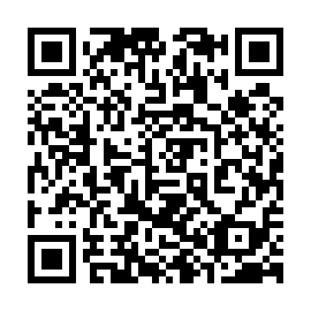 QR code for 385519