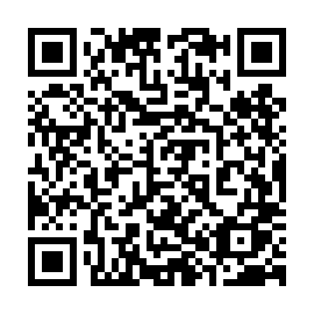 QR code for plate 385-TLQ