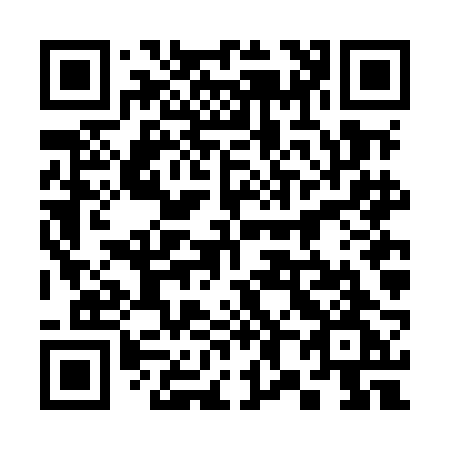 QR code for 386-MBG