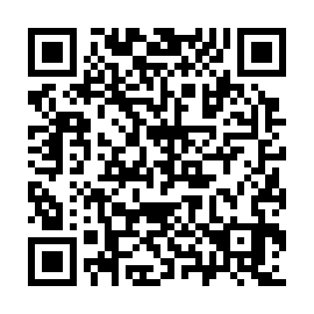 QR code for 386333