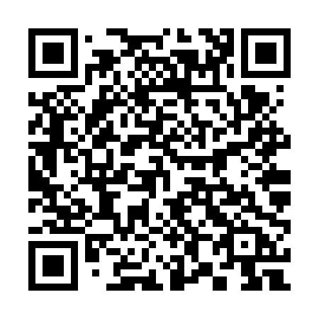 QR code for plate 386-VPB