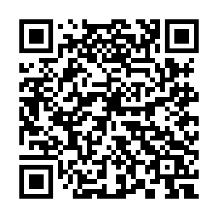 QR code for 387-HDS