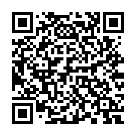 QR code for 387-WSA