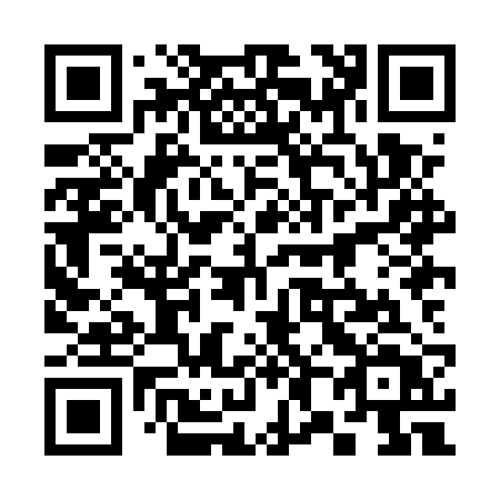 QR code for plate 388-ERT