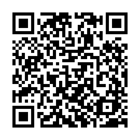 QR code for 389-HNK