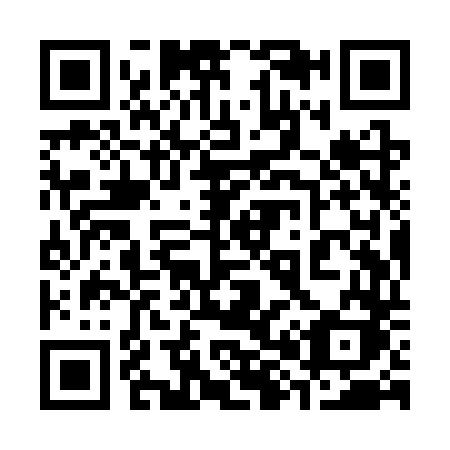 QR code for 389-STK