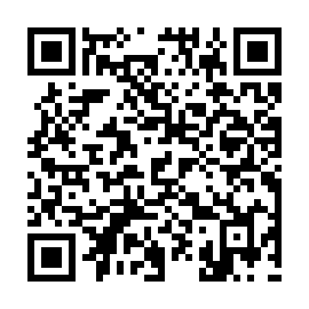 QR code for 393-CYJ