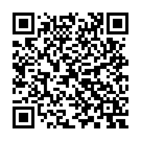 QR code for 393-EZX
