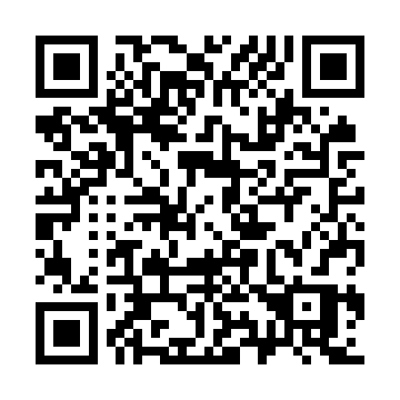 QR code for 393-ORR