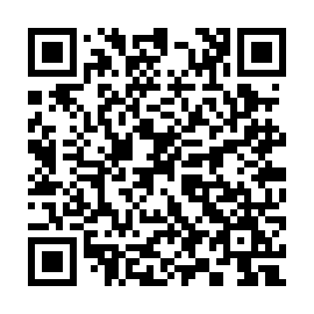 QR code for 393-PNM