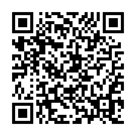 QR code for 393-PUO