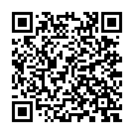 QR code for 393-TDM