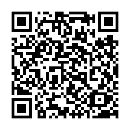 QR code for 393-VRX