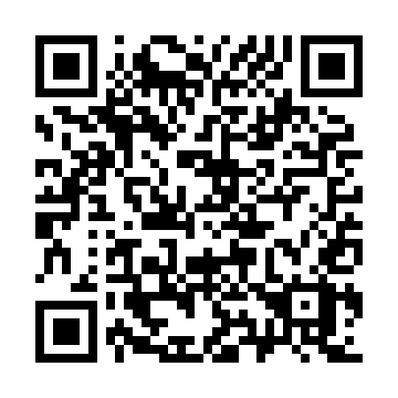 QR code for 393-XEX