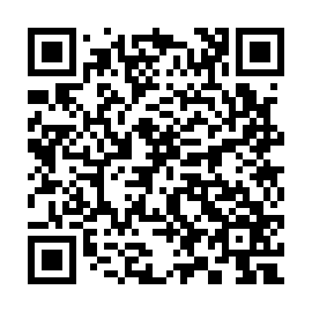 QR code for 393166