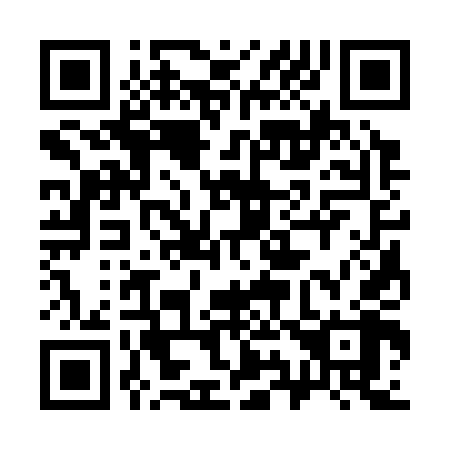QR code for 393348
