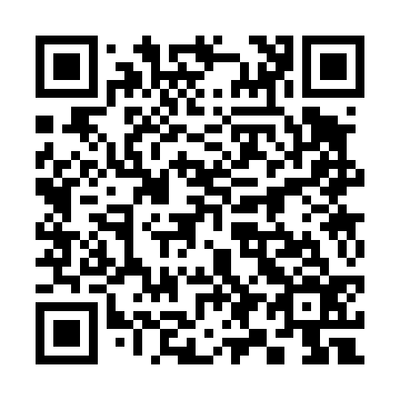 QR code for 393436
