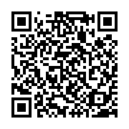 QR code for 393519