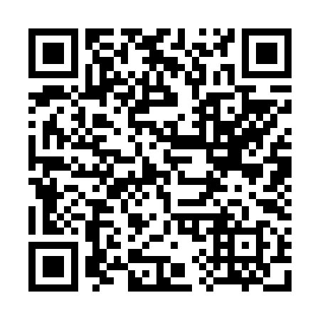 QR code for 393698