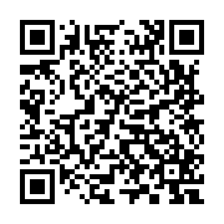 QR code for 393905