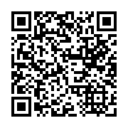 QR code for 393LIK