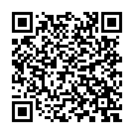 QR code for 393MTO