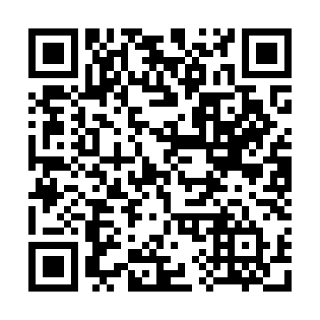 QR code for plate 393-OLT
