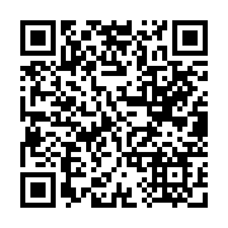 QR code for plate 393-RBO