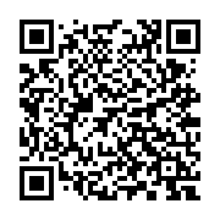 QR code for plate 393-VMH