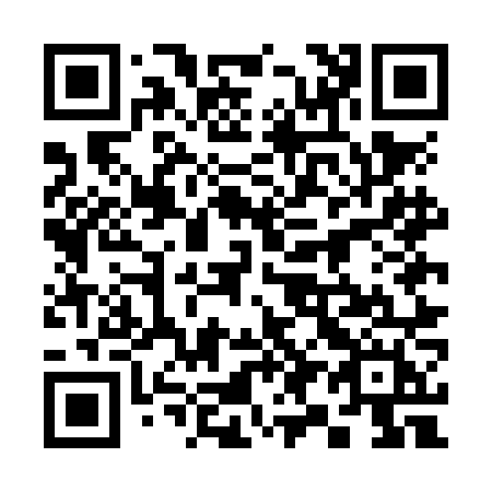 QR code for plate 395-NNH