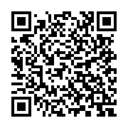 QR code for 397-MQI
