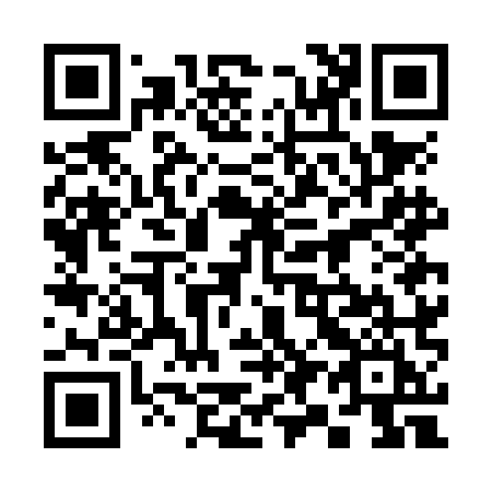 QR code for 397-NMI