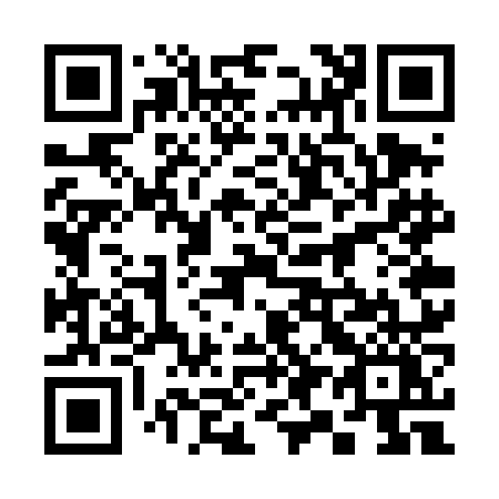 QR code for 397TNY