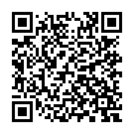 QR code for plate 398-NHW