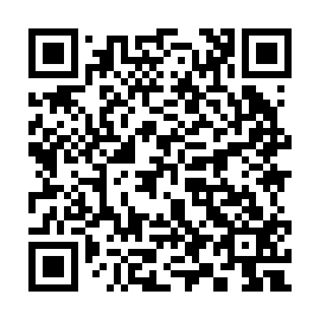 QR code for 399213