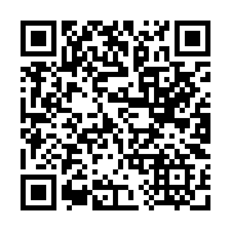 QR code for plate 399-LKG