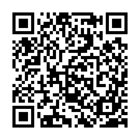 QR code for 3D6767