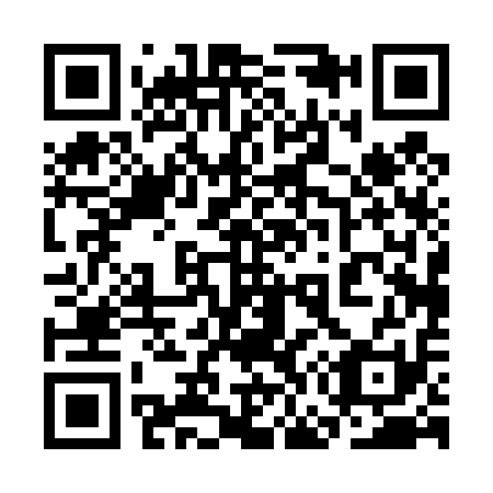 QR code for 3G0411