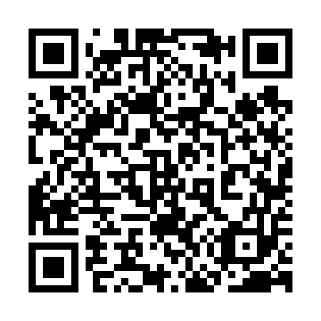 QR code for 3G6653