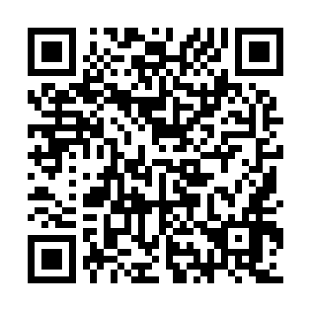 QR code for 3I9956