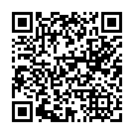 QR code for 3K0919