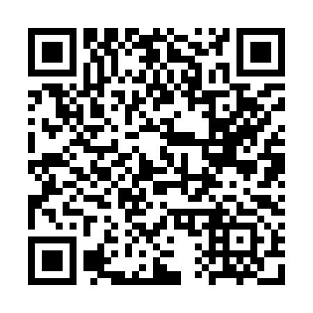 QR code for 3Q2993