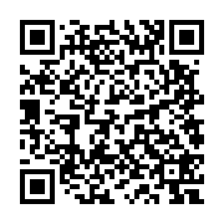 QR code for 3T6528